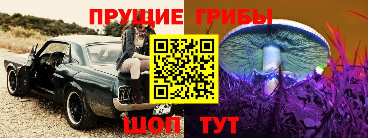 Галлюциногенные грибы мицелий Кисловодск